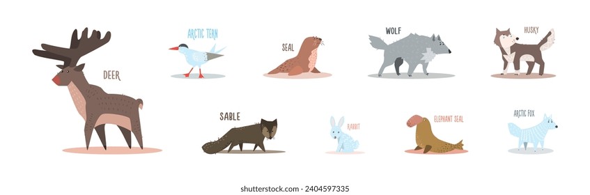 Funny Wild Polar Animal as Fauna of Arctic Vector Set