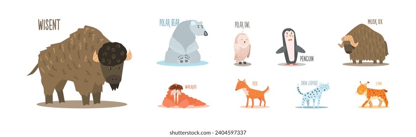 Funny Wild Polar Animal as Fauna of Arctic Vector Set