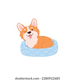 Funny winking corgi dog on blue pillow flat style, vector illustration isolated on white background. Cute pet tongue out, decorative design element, pedigree animal