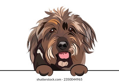 Funny Wirehaired Pointing Griffon with paws in a pocket, vector illustration. Cute dog head with paws on a white background, isolated logo.Hand-drawn mascot. Funny dog muzzle looking over a white wall