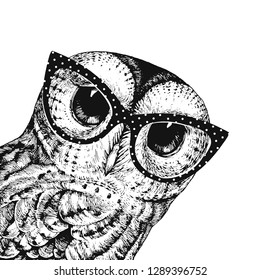 Funny Wise Owl Wearing Glasses. Black and White Adorable Owl, Cute Baby Owl Illustration can be used as Nursery print, Wall art Owl Print, T-shirt , 