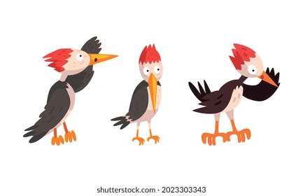 Funny Woodpecker Bird Character Set, Comic Woodland Bright Bird Cartoon Vector Illustration