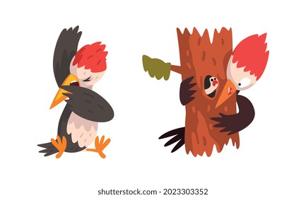 Funny Woodpecker Bird Set, Woodland Bright Woodpecker Cardinal Bird Cartoon Character Vector Illustration