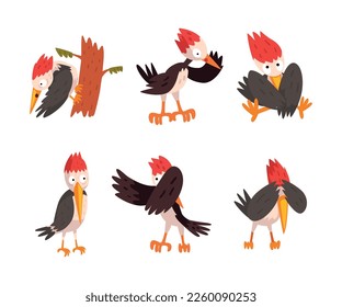 Funny Woodpecker Character as Comic Woodland Flying Creature Vector Set