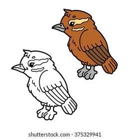 funny xenops cartoon . Vector illustration coloring page of happy cartoon xenops bird for children, coloring and scrap book
