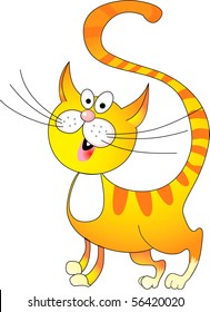funny yellow cat