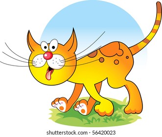 funny yellow cat