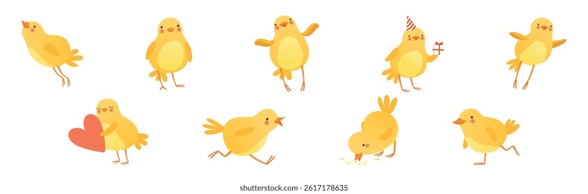 Funny Yellow Chicken Engaged in Different Activity Vector Set
