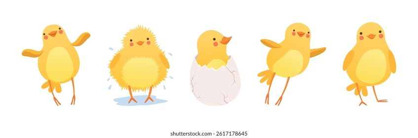 Funny Yellow Chicken Engaged in Different Activity Vector Set
