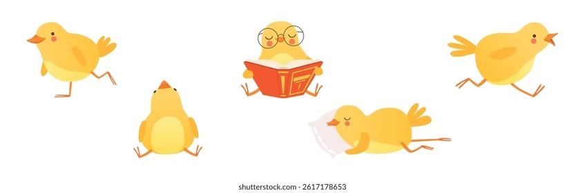 Funny Yellow Chicken Engaged in Different Activity Vector Set
