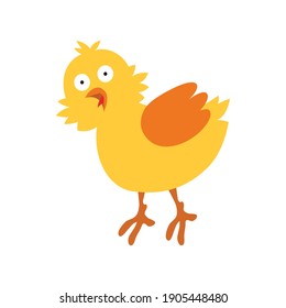 Funny yellow chicken. Vector illustration on white isolated background.