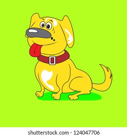 funny yellow   dog