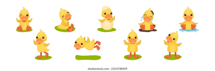 Funny Yellow Duckling Engaged in Different Activity Vector Set