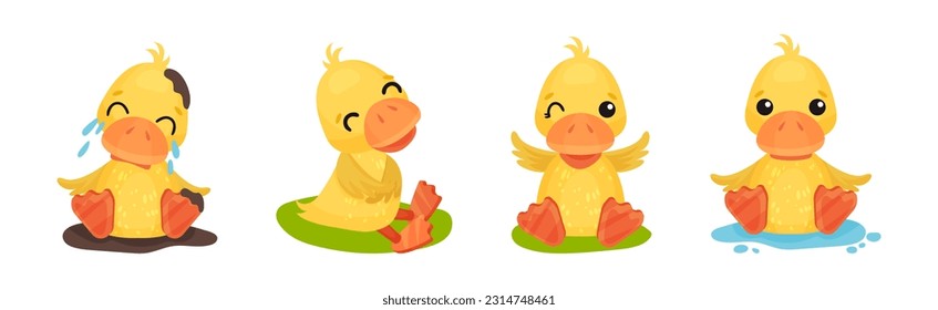 Funny Yellow Duckling Engaged in Different Activity Vector Set