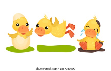 Funny Yellow Duckling Hatching and Crying Vector Set