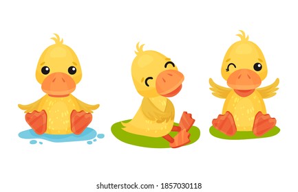 Funny Yellow Duckling Sitting in Puddle and Smiling Vector Set