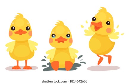 Funny Yellow Duckling Standing, Jumping and Crying Vector Set