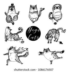 funny yoga cats set.Hand drawn vector illustration