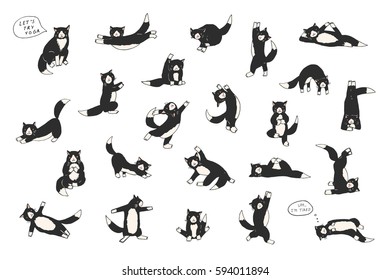 funny yoga cats vector collection