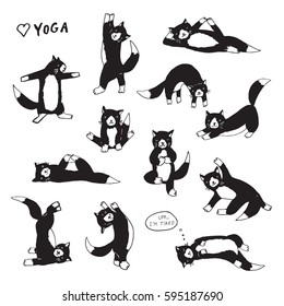 funny yoga cats vector collection