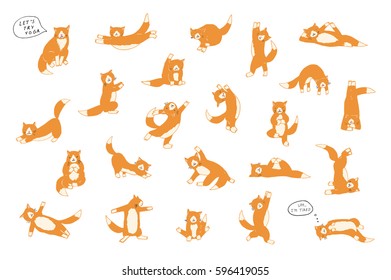 funny yoga cats vector collection