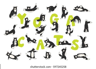 funny yoga cats vector collection