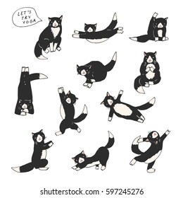 funny yoga cats vector collection