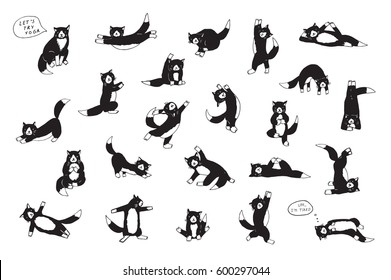 funny yoga cats vector collection