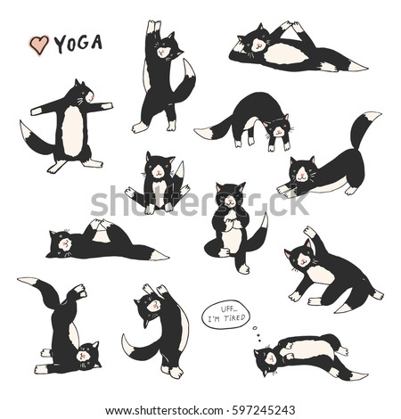 Funny Yoga Cats Vector Collection Funny Yoga Cats Vector Collection
