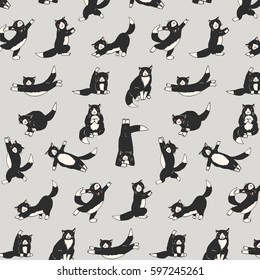 funny yoga cats vector pattern