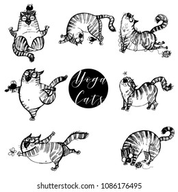 funny yoga cats.Hand drawn vector illustration