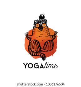 funny yoga cats.Hand drawn vector illustration