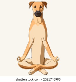 funny yoga dog black mouth cur throw pillow cover 8 x 8 design vector illustration for use in design and print wall art poster canvas