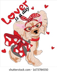 Funny Yorkshire Terrier puppy in the style of pin up in red glasses and rim. Lover is a day - lettering. Dog Vector illustration for t-shirts design, sweatshirt, fabric.