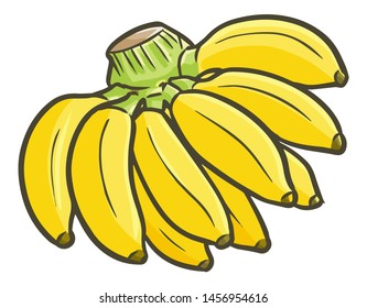 Funny and yummy short banana ready to eat or cook