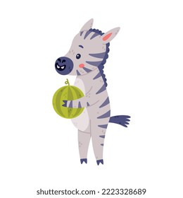 Funny Zebra with Black-and-white Striped Coat Holding Watermelon Vector Illustration