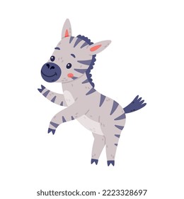 Funny Zebra with Black-and-white Striped Coat Standing on Hind Legs and Smiling Vector Illustration