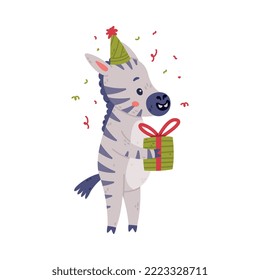 Funny Zebra with Black-and-white Striped Coat in Birthday Hat Holding Gift Box Vector Illustration