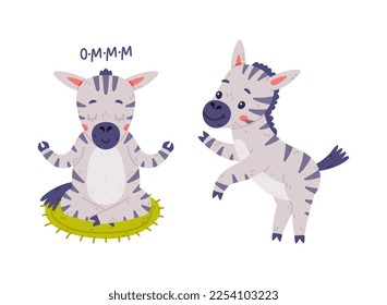 Funny Zebra with Black-and-white Striped Coat Meditating Vector Set