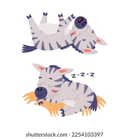 Funny Zebra with Black-and-white Striped Coat Sleeping and Lying Vector Set