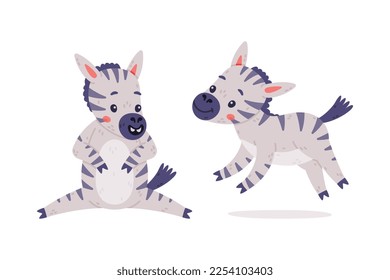 Funny Zebra with Black-and-white Striped Coat Running and Sitting Vector Set