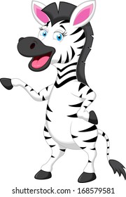 Funny zebra cartoon
