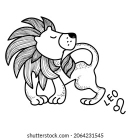 Funny Zodiac Lion Sign. Leo horoscope symbol. Line art sketch vector illustration