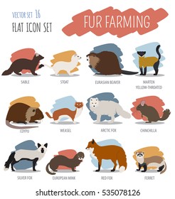 Fur farming. Flat design. Vector illustration