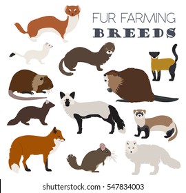 Fur farming. Flat design. Vector illustration