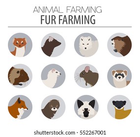 Fur farming. Flat design. Vector illustration