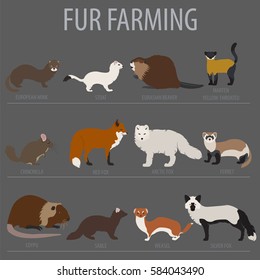 Fur farming. Flat design. Vector illustration