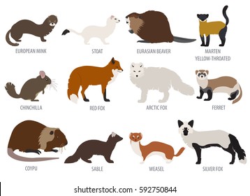 Fur farming. Flat design. Vector illustration