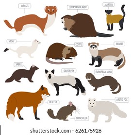 Fur farming. Flat design. Vector illustration