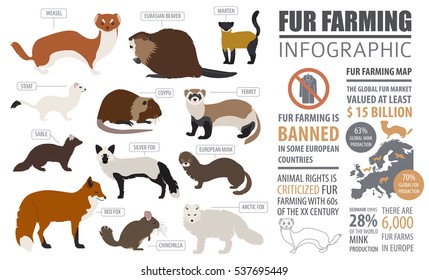 Fur farming infographic template. Flat design. Vector illustration